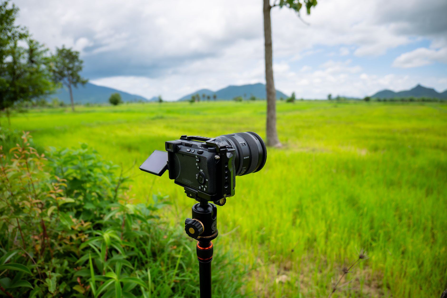 Xu hướng 2: Camera góc rộng có chế độ nhìn đêm cải tiến rõ nét hơn